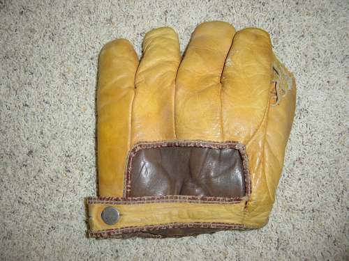 National Champion Bearcat 1 Inch Web Back